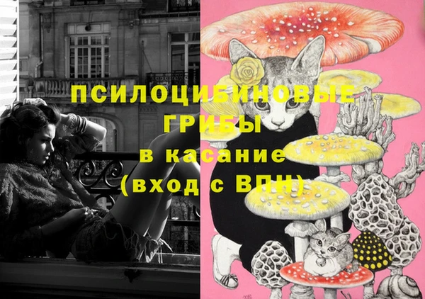 Альфа ПВП Алзамай